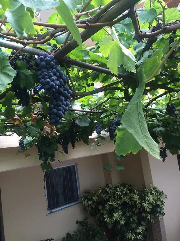 Sevilia Rooms Qeparo