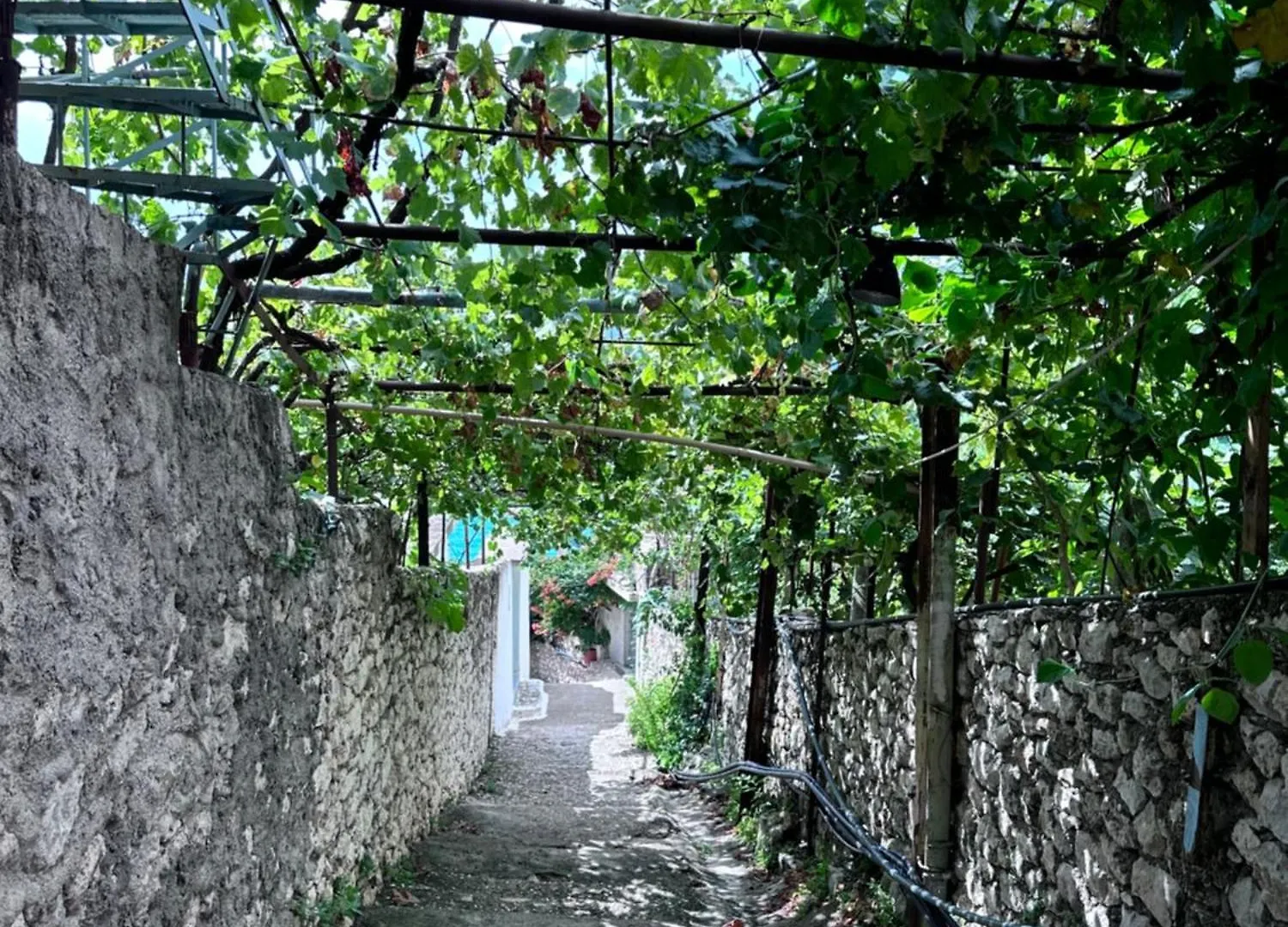 Sevilia Rooms Qeparo Apartman